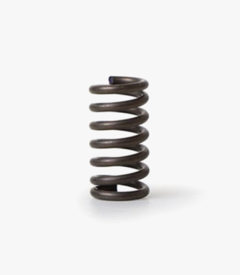 Fiorenzato F4 Grinder Support Contrast Spring