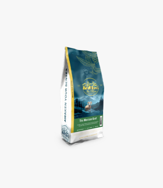 Organic Mexican Coffee Beans 2 LB