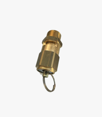 2.5 Bar Safety Valve (P2536)