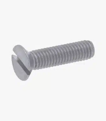 Astoria Stainless Screw (53514)